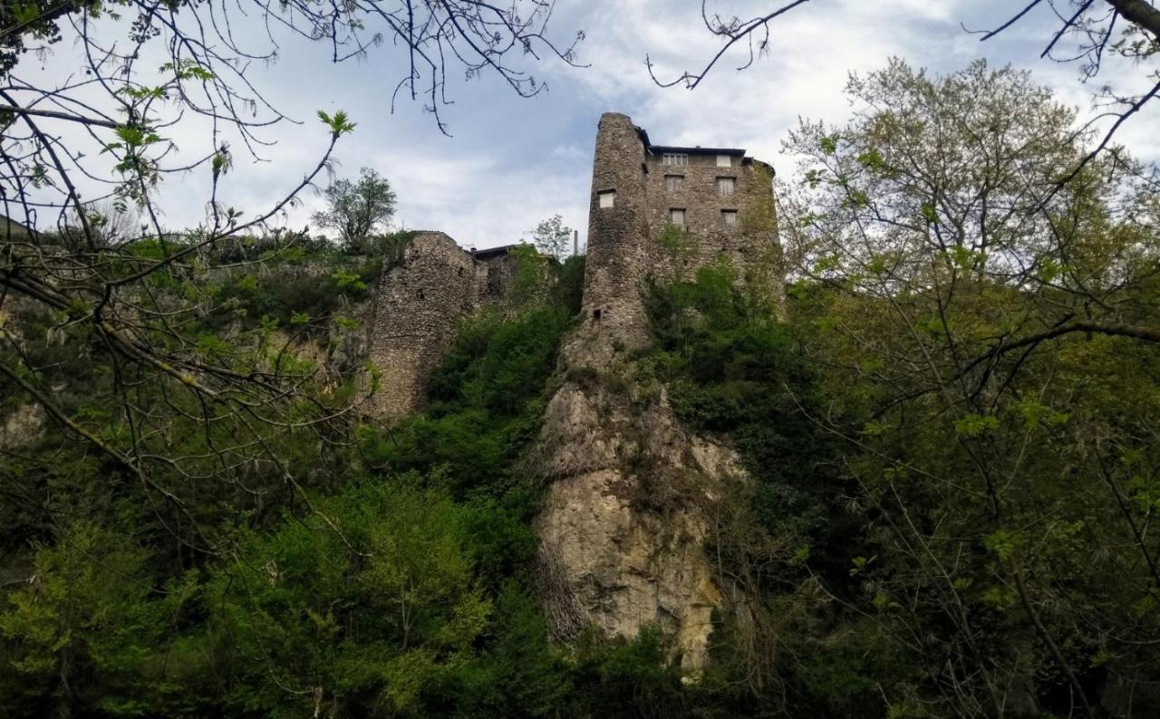 Апартаменты Le Nopal Bleu Тараскон-сюр-Арьеж Экстерьер фото